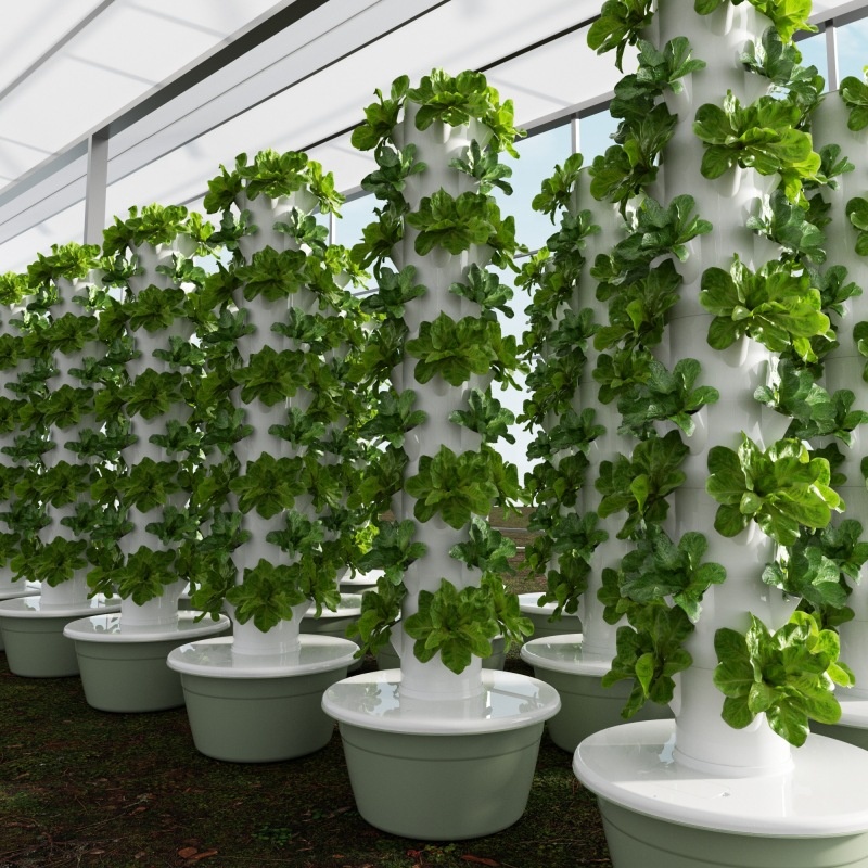 Smart Garden Greenhouse - 2024 Smart Low Cost Greenhouse Vertical