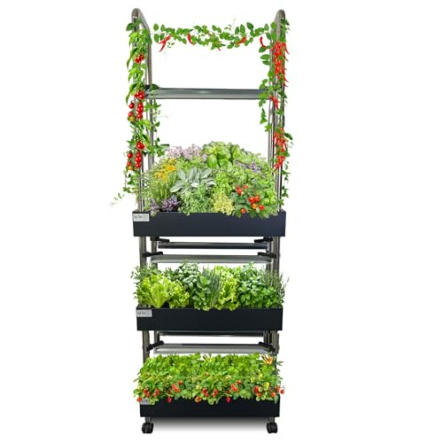 Smart Garden Vertical - Indoor hydroponics growing system: vertical garden