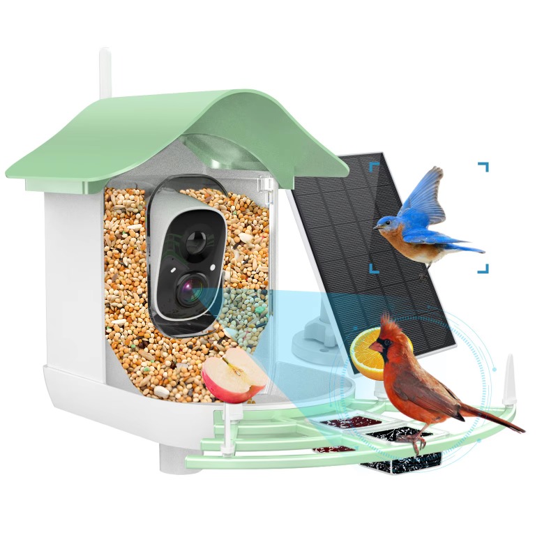 Smart Bird Feeder Camera - 2026 App Video Auto Capture Camera