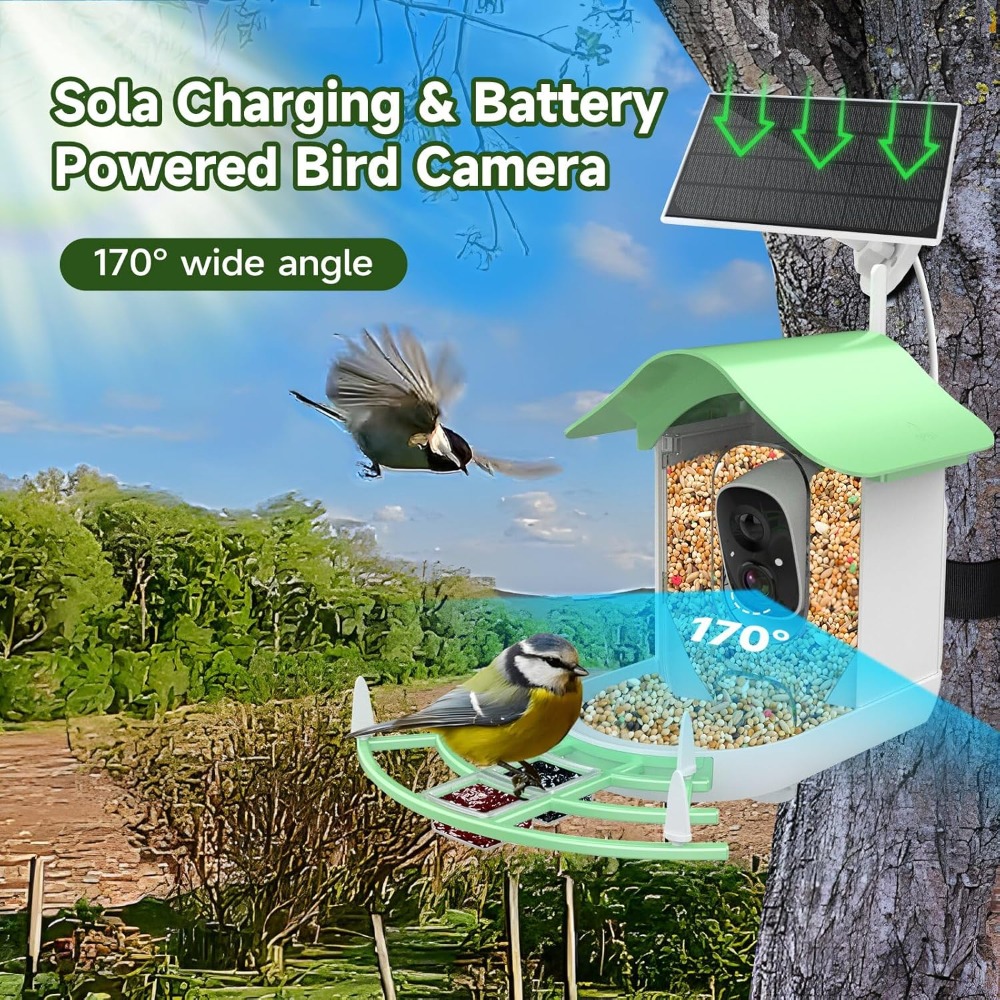 Solar Powered Smart Bird Feede - Smart Bird Feeder Camera 评论和价格