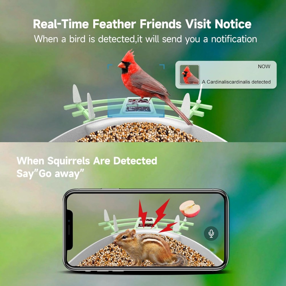 Solar Powered Smart Bird Feede - Smart Bird Feeder Camera 评论和价格
