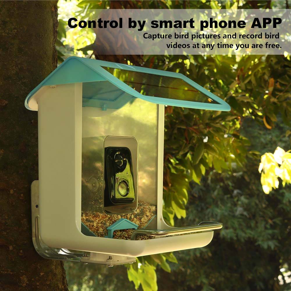 Outdoor Wildlife Wifi Camera C - Smart Bird Feeder Camera 评论和价格