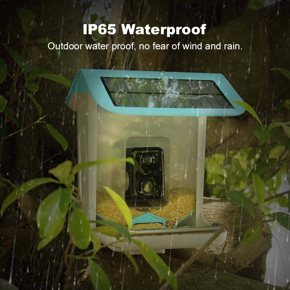 Outdoor Wildlife Wifi Camera C - Smart Bird Feeder Camera 评论和价格