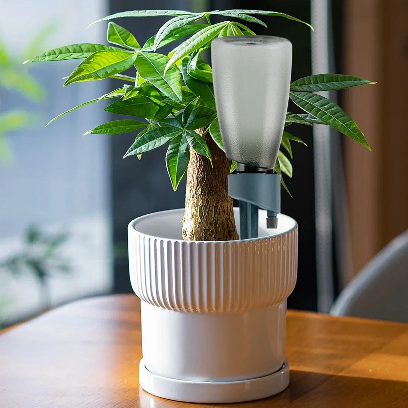 6pcs Automatic Waterer Househo - Smart Garden Herb 评论和价格