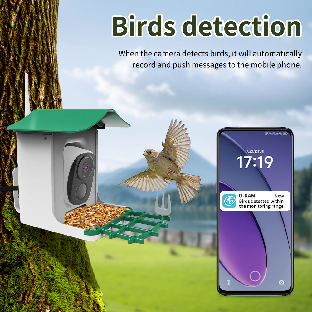 OEM 3MP O-KAM WIFI Color Night - Smart Bird Feeder Camera 评论和价格