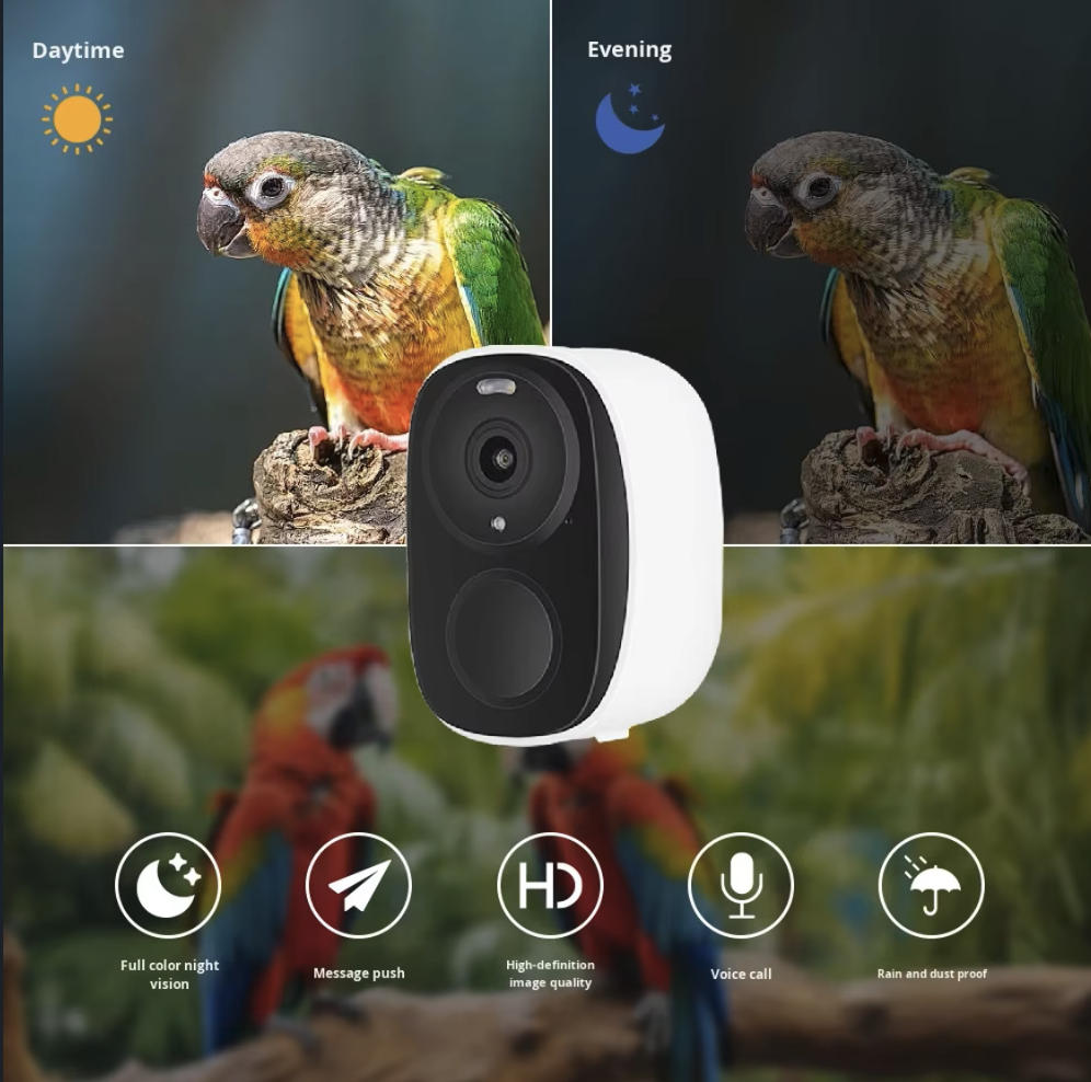 OEM 3MP O-KAM WIFI Color Night - Smart Bird Feeder Camera 评论和价格