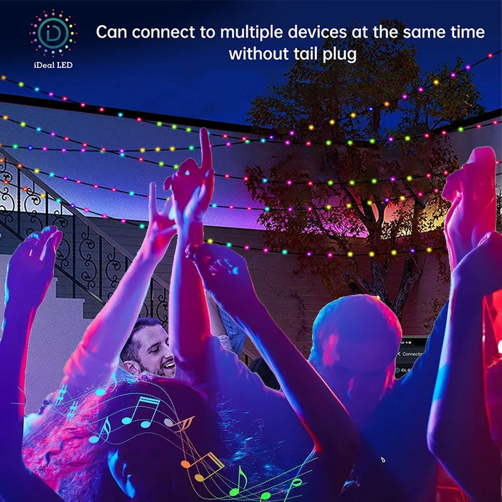 RGBIC Smart String Lights USB  - Smart Garden Festoon Lights 评论和价格