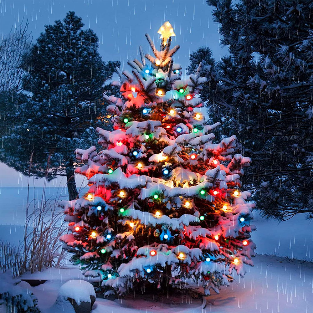 Smart LEDs Bulb String Light U - Smart Garden Festoon Lights 评论和价格