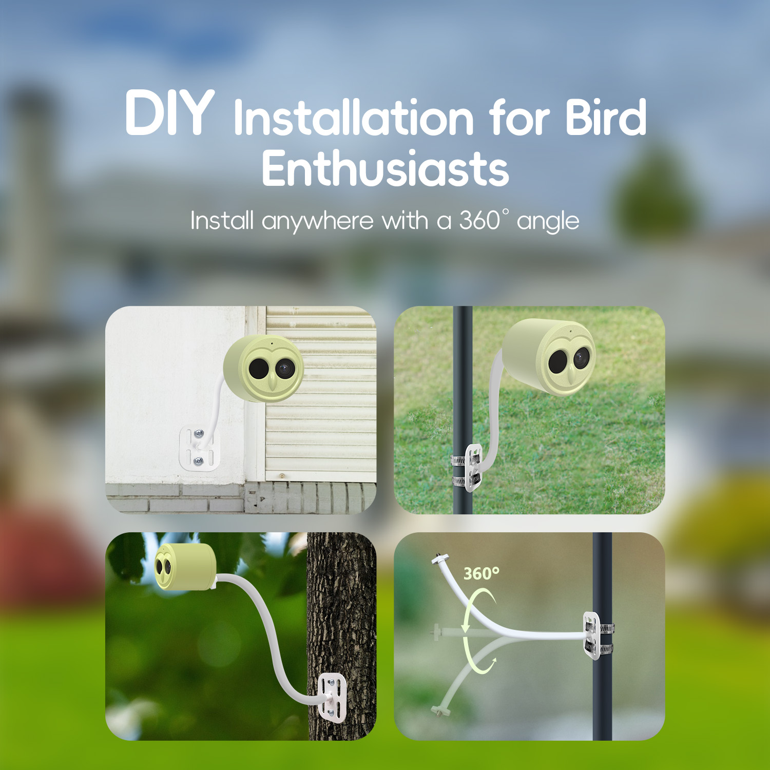 WILLFINE Automatic AI Bird Fee - Smart Bird Feeder Camera 评论和价格