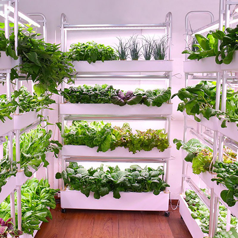 Hydroponics Growing System Ver - Smart Garden Vertical 评论和价格