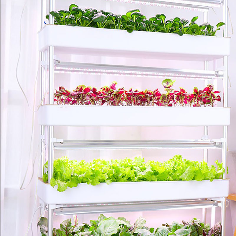 Hydroponics Growing System Ver - Smart Garden Vertical 评论和价格