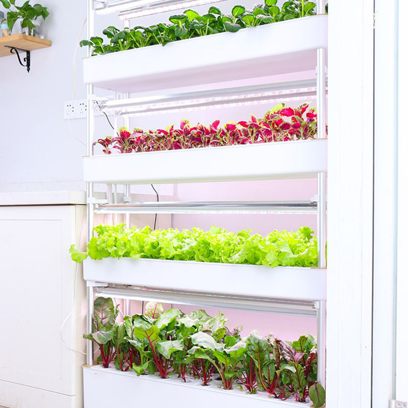 Hydroponics Growing System Ver - Smart Garden Vertical 评论和价格