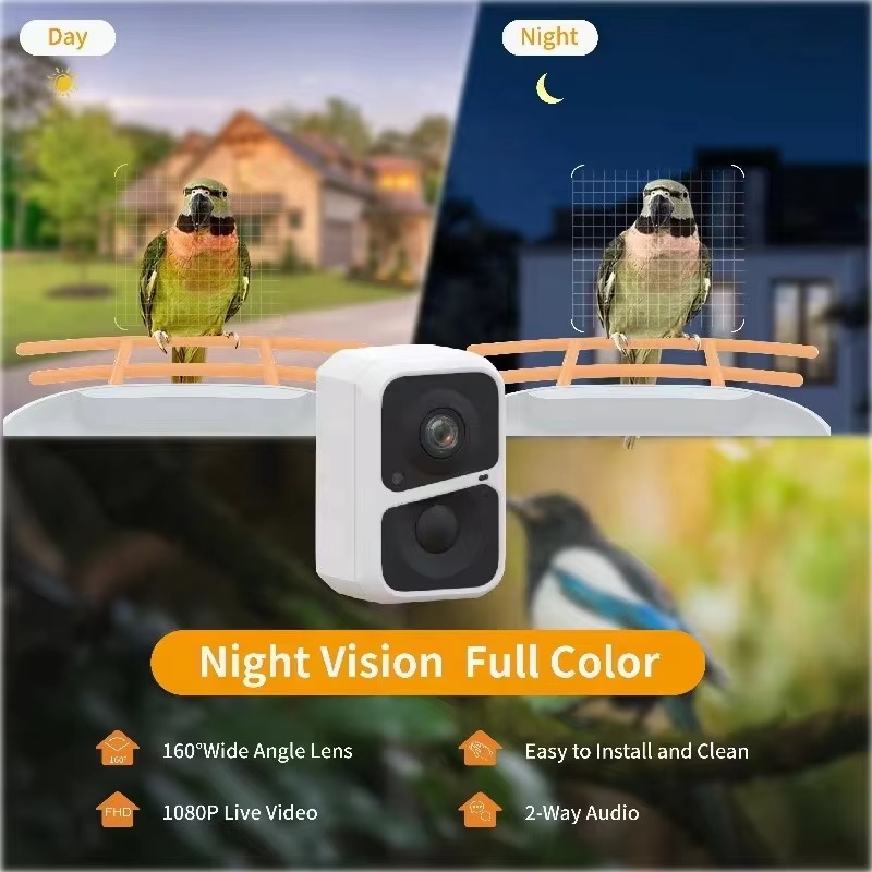 AI Identify 10000+ Bird Specie - Smart Bird Feeder Camera 评论和价格