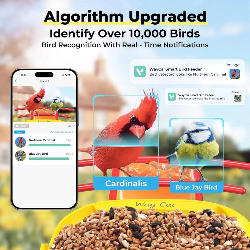 AI Identify 10000+ Bird Specie - Smart Bird Feeder Camera 评论和价格
