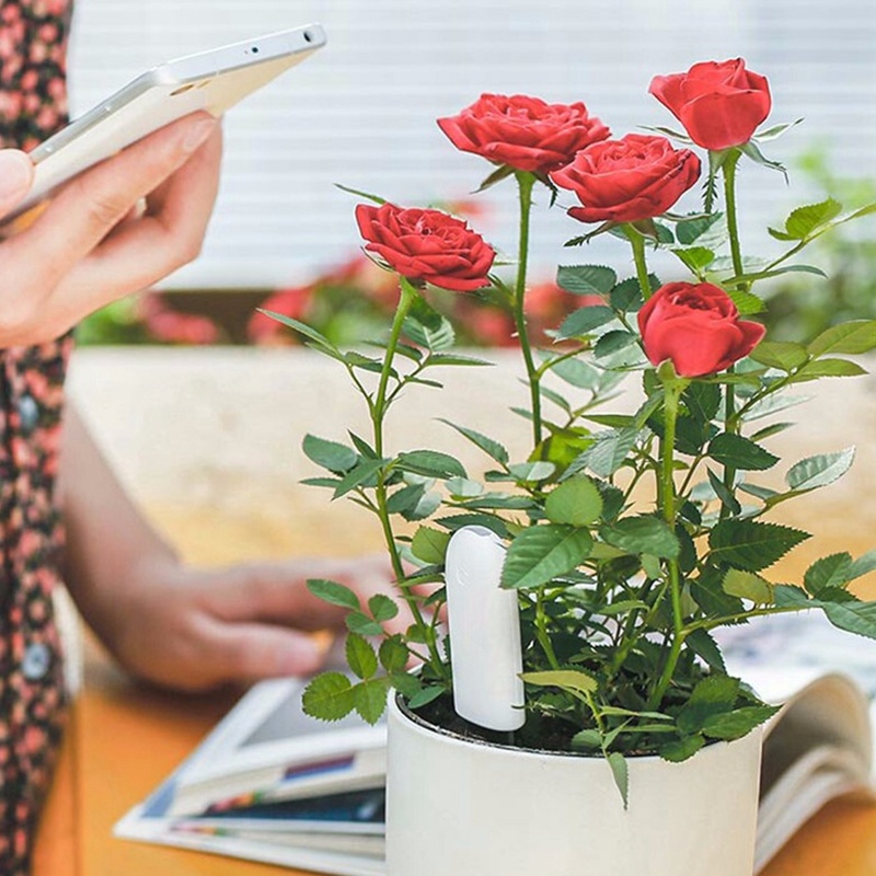 HHCC Flower Monitor Flora Gard - Smart Garden Xiaomi 评论和价格