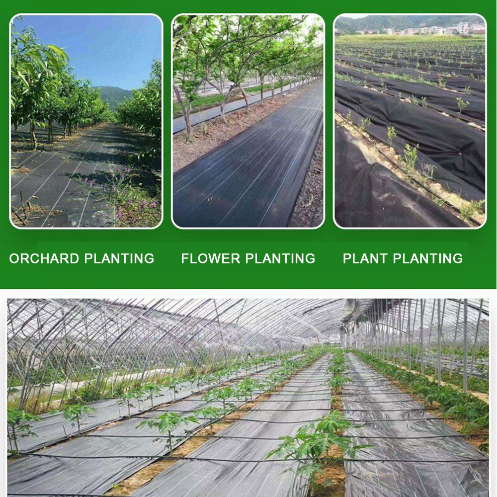 16.4ft/32.8ft PE Woven Weed Co - Smart Garden Greenhouse 评论和价格