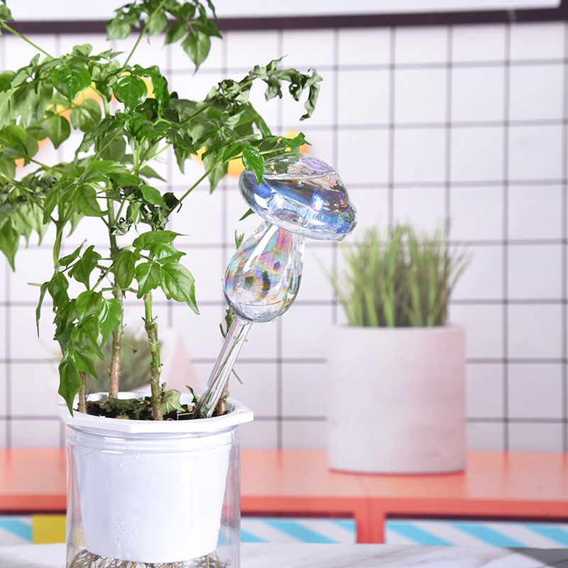 1/2PCS Glass Straw Automatic P - Smart Garden Herb 评论和价格