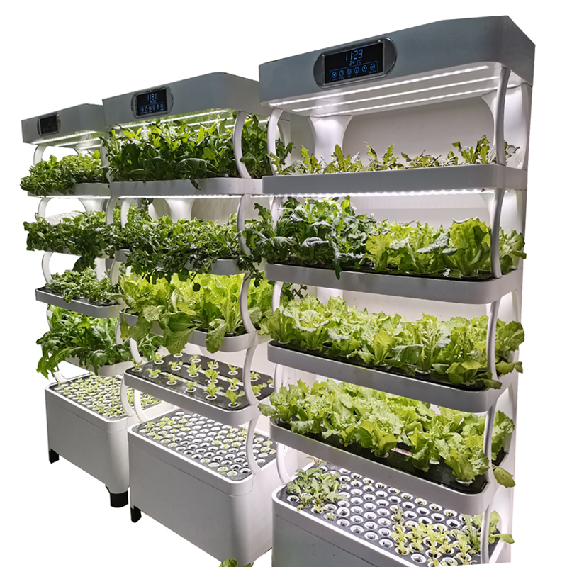 Indoor Smart Low Cost Hydropon - Smart Garden Vertical 评论和价格