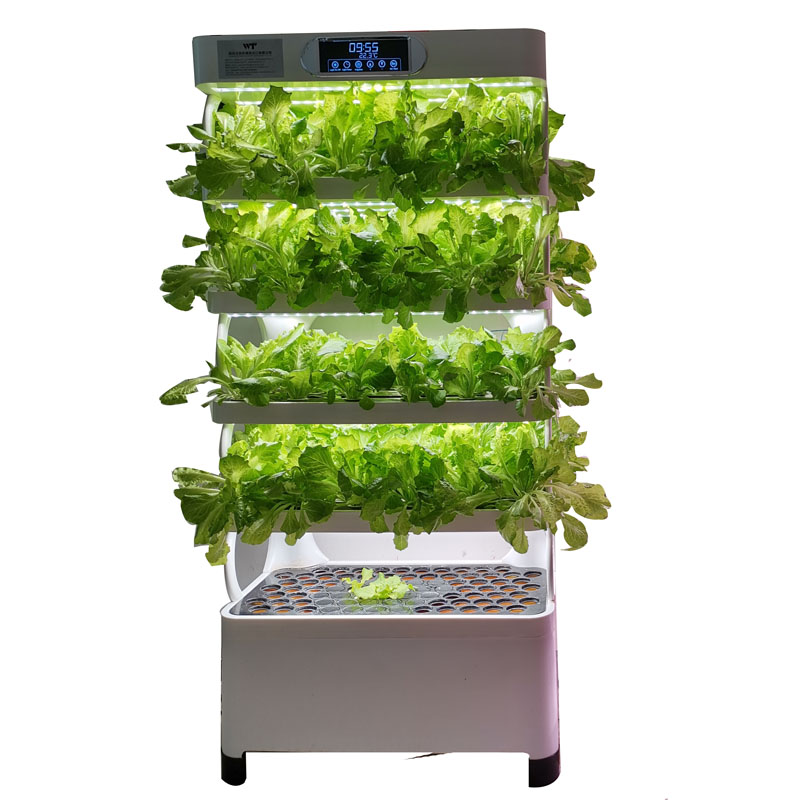 Indoor Smart Low Cost Hydropon - Smart Garden Vertical 评论和价格