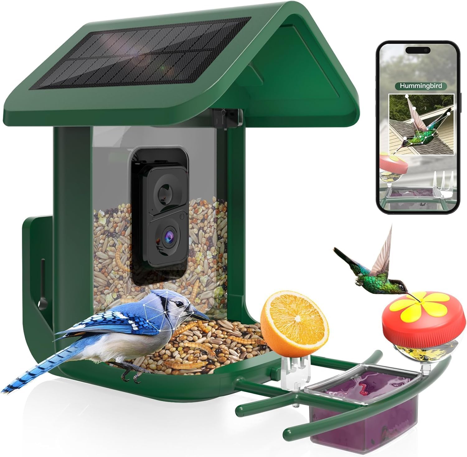 Smart Bird Feeder with Camera  - Smart Bird Feeder Camera 评论和价格