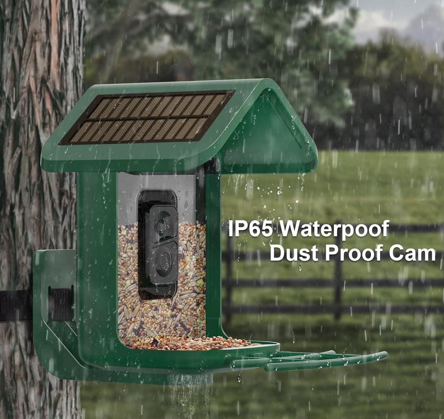 Smart Bird Feeder with Camera  - Smart Bird Feeder Camera 评论和价格