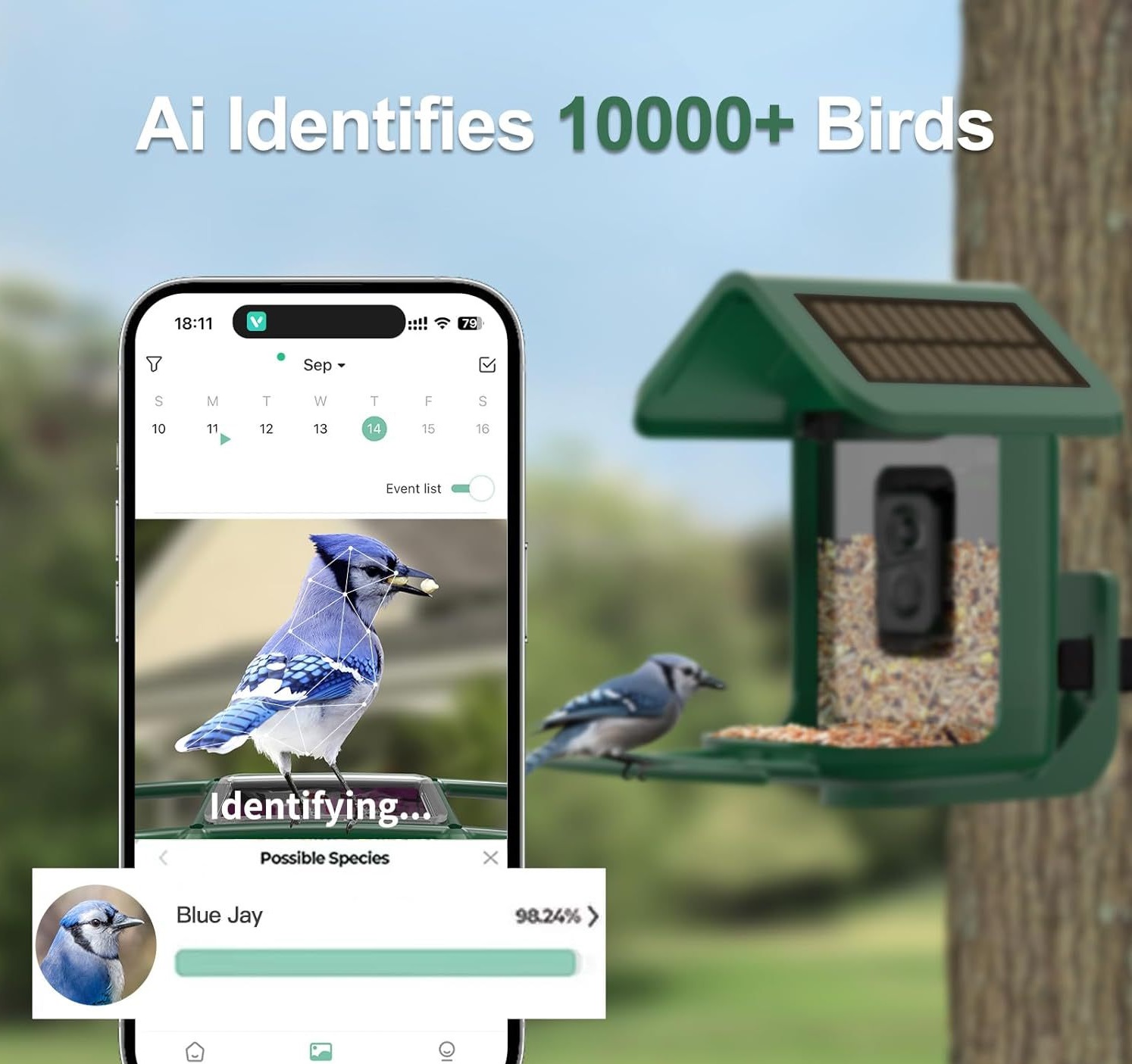 Smart Bird Feeder with Camera  - Smart Bird Feeder Camera 评论和价格