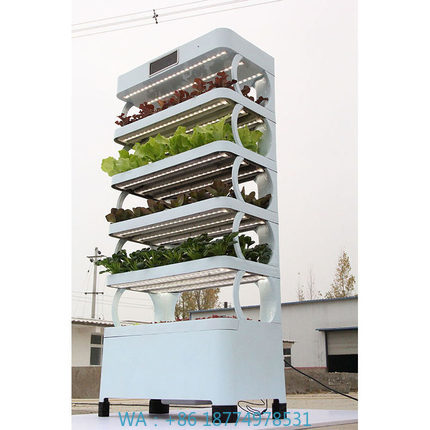 arming Home Hydroponic Growing - Smart Garden Vertical 评论和价格