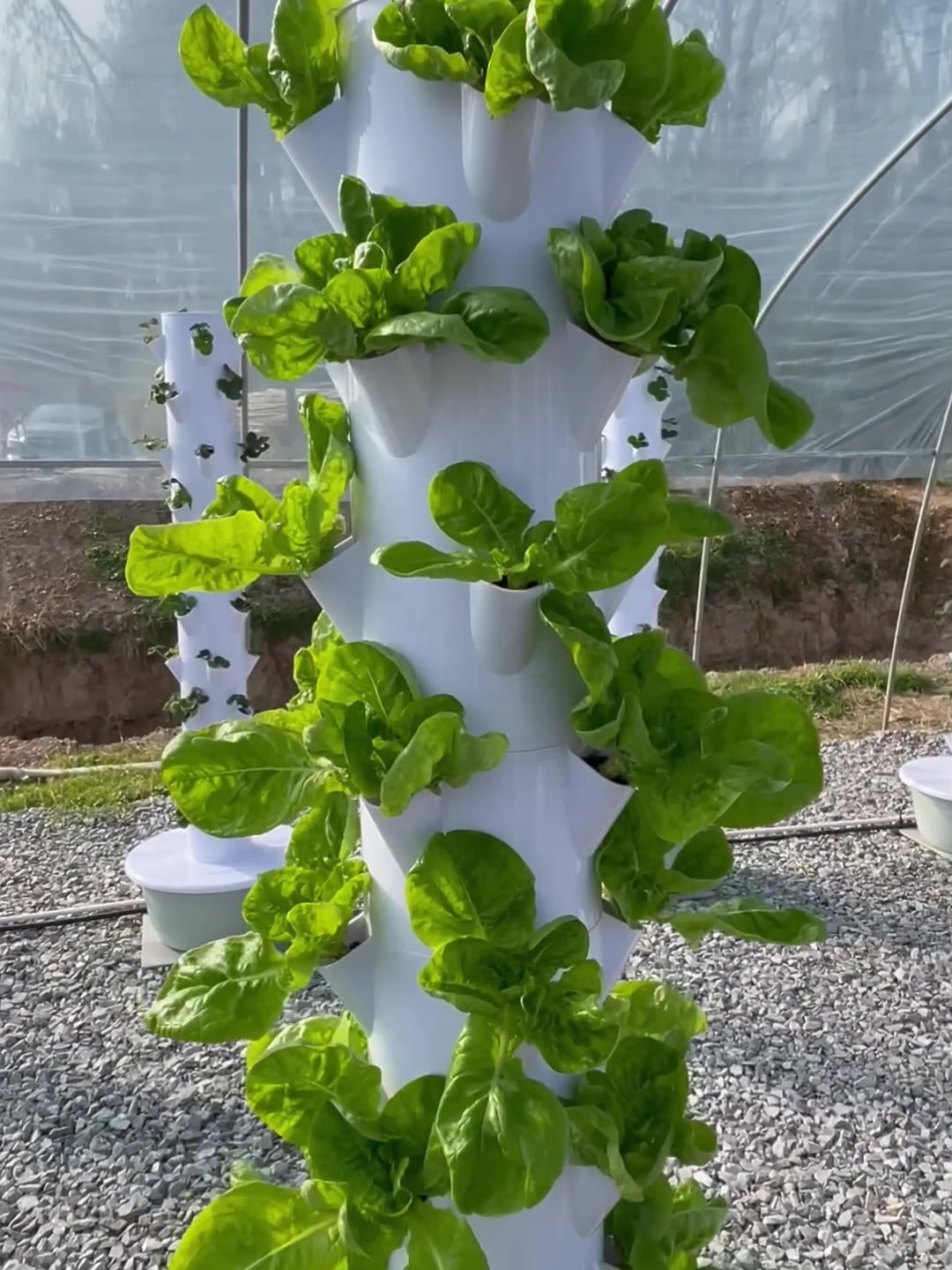 2024 Smart Low Cost Greenhouse - Smart Garden Greenhouse 评论和价格