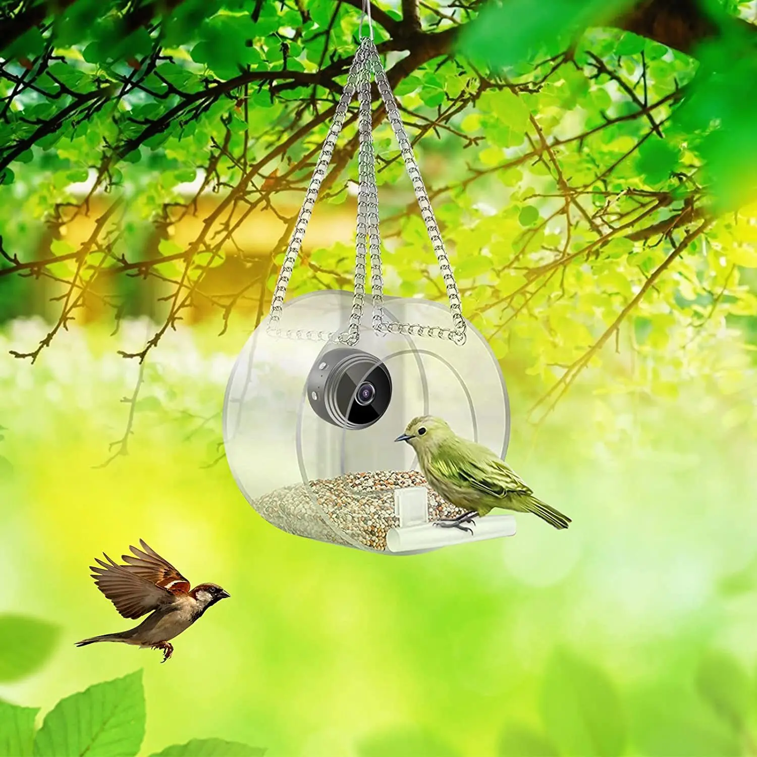 2023 Smart Bird Feeder Acrylic - Smart Bird Feeder Camera 评论和价格