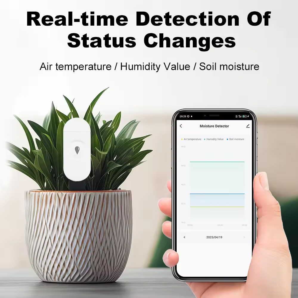 Tuya Zigbee Temperature Humidi - Smart Garden Zigbee 评论和价格