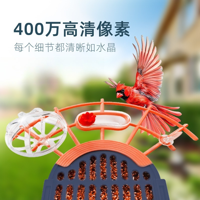 Remote feeder, outdoor solar e - Smart Bird Feeder Camera 评论和价格