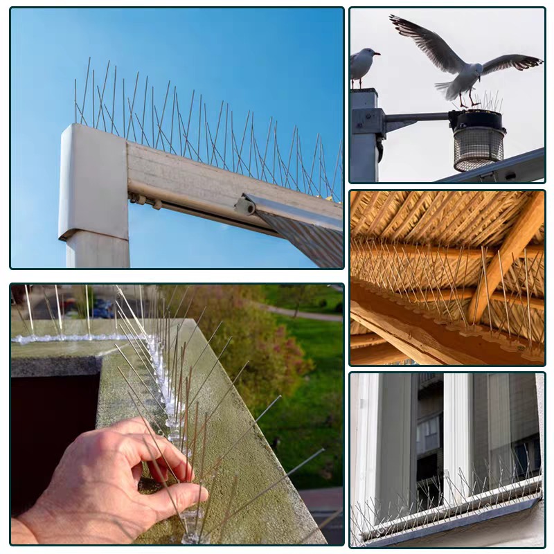 10/1x Pigeon Spikes Deterrent  - Smart Garden Fence 评论和价格
