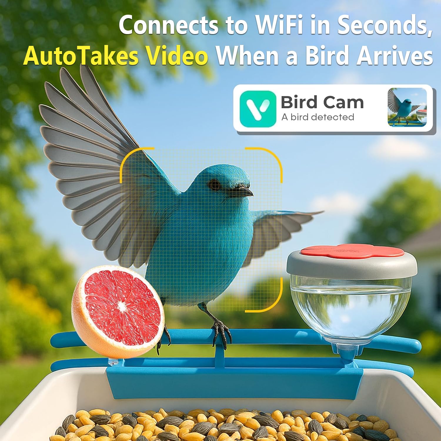 Smart Bird Feeder Camera 2K Li - Smart Bird Feeder Camera 评论和价格