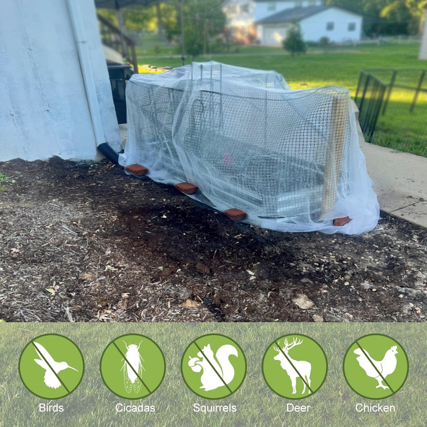 Insect Protection Net Garden P - Smart Garden Greenhouse 评论和价格