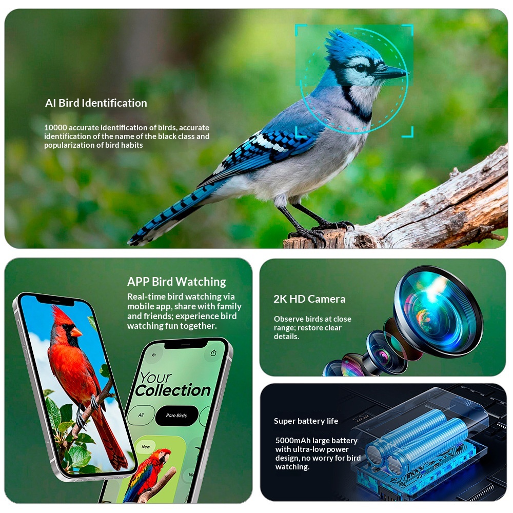 2026 New Smart Bird Feeder Cam - Smart Bird Feeder Camera 评论和价格