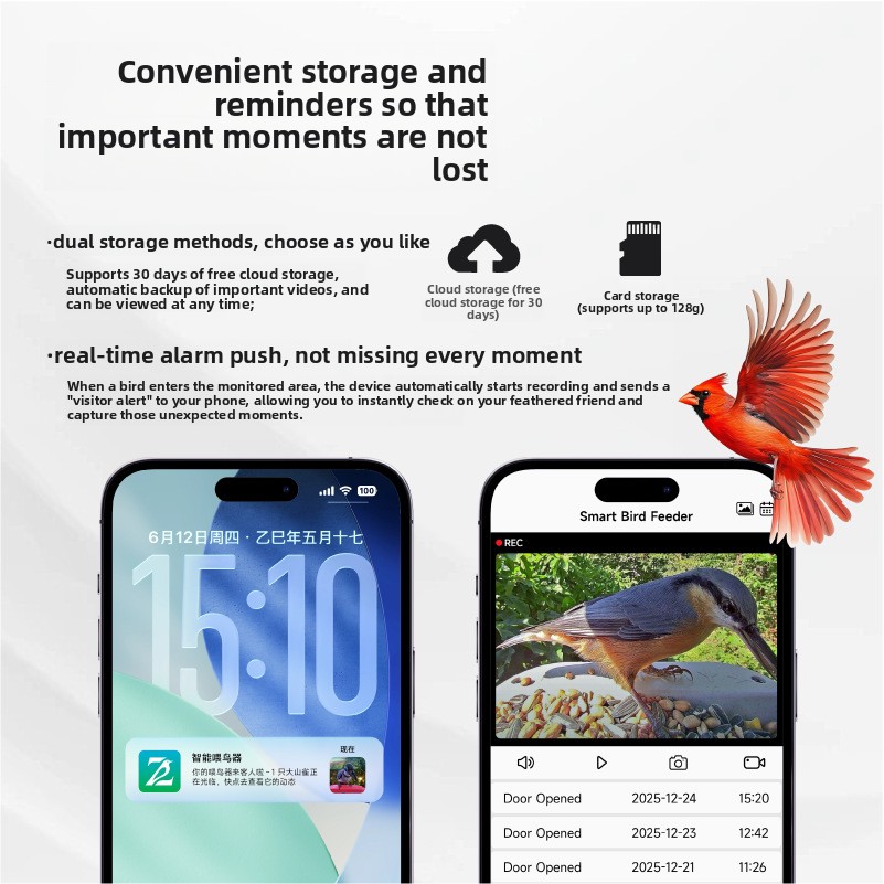 2026 New Smart Bird Feeder Cam - Smart Bird Feeder Camera 评论和价格