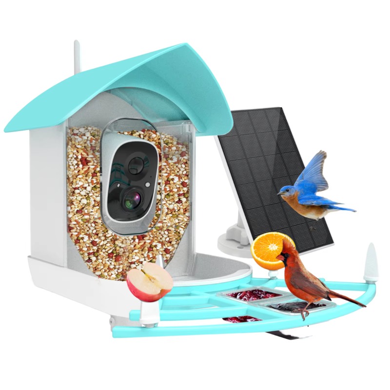 Smart Bird Feeder Night Vision - Smart Bird Feeder Camera 评论和价格