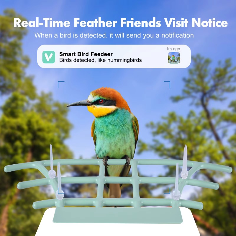Smart Bird Feeder Night Vision - Smart Bird Feeder Camera 评论和价格