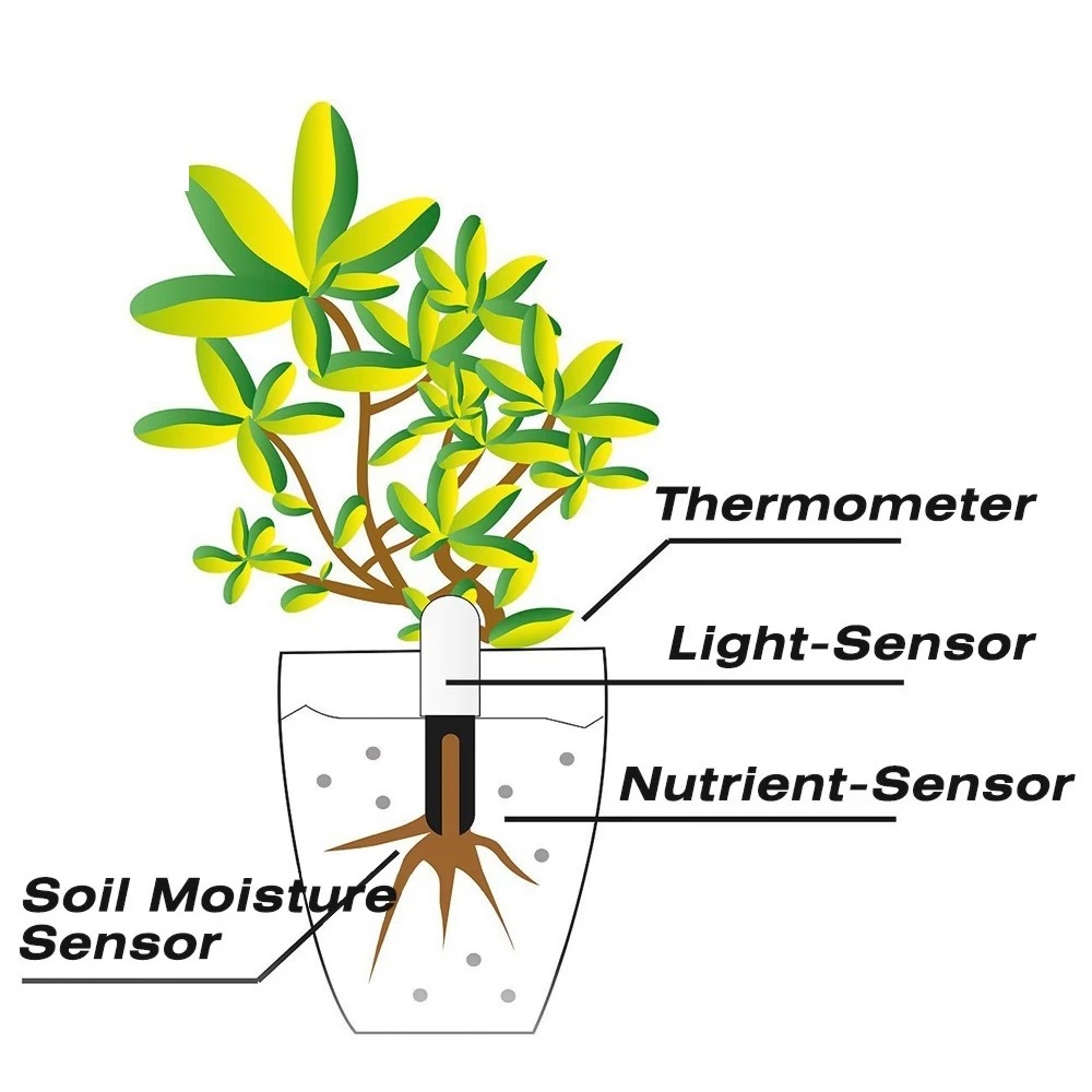 HHCC Flower Monitor Flora Gard - Smart Garden Xiaomi 评论和价格