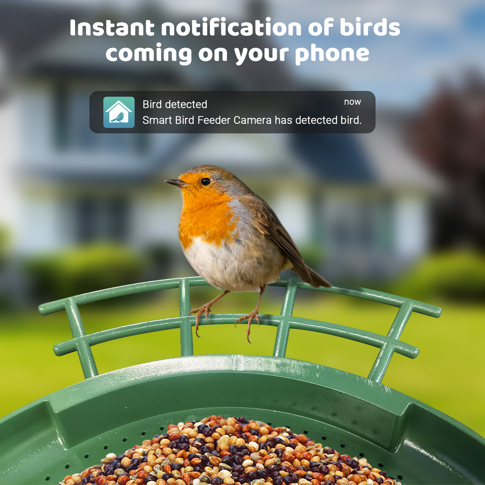 Smart Dual Camera Bird Feeder  - Smart Bird Feeder Camera 评论和价格
