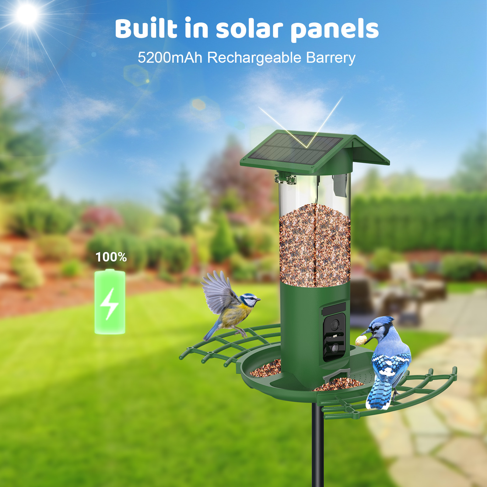 Smart Dual Camera Bird Feeder  - Smart Bird Feeder Camera 评论和价格