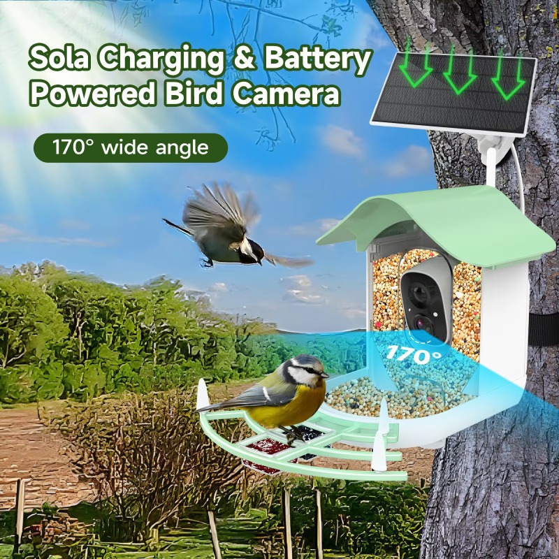 2026 App Video Auto Capture Ca - Smart Bird Feeder Camera 评论和价格