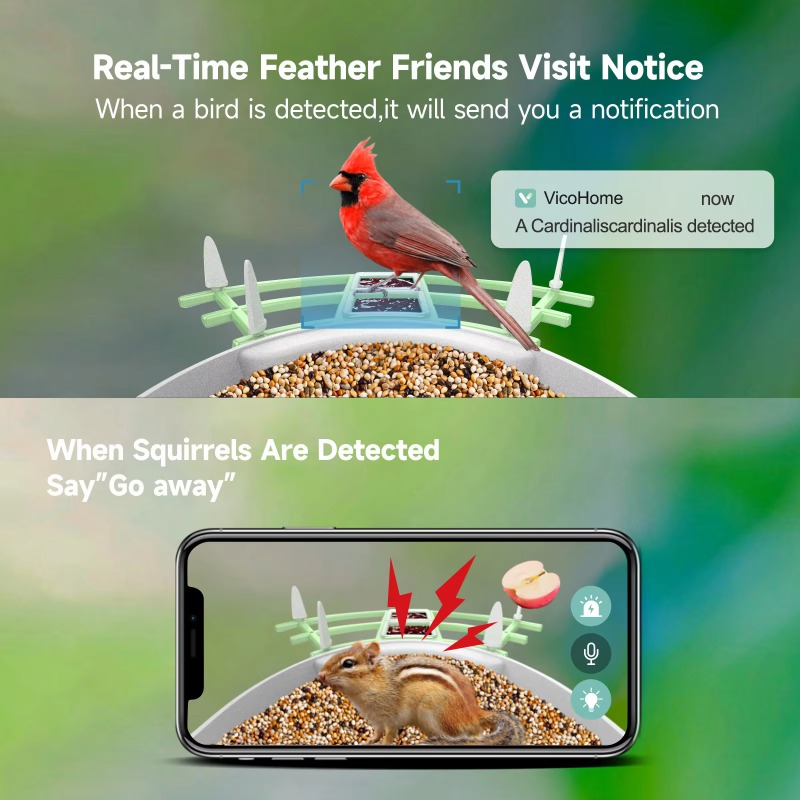2026 App Video Auto Capture Ca - Smart Bird Feeder Camera 评论和价格