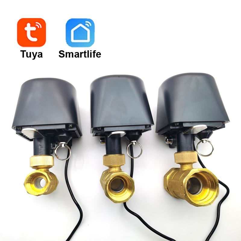 Tuya WiFi or Zigbee Water Valv - Smart Garden Zigbee 评论和价格
